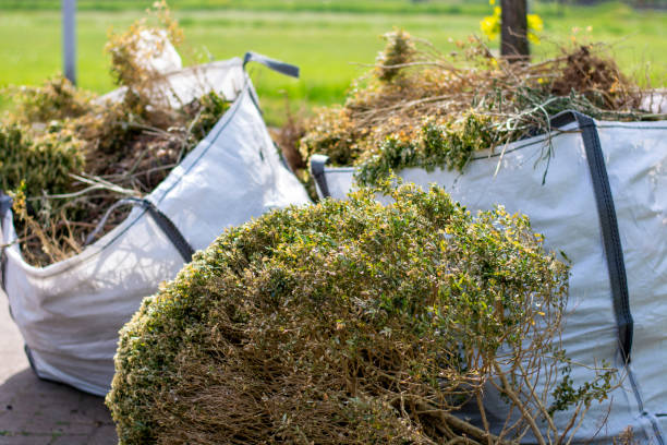 Best Hoarding Cleanup  in Dunlap, TN